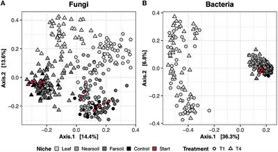 The microbiome structure of decomposing plant leaves in soil depends on plant species, soil pore sizes, and soil moisture content